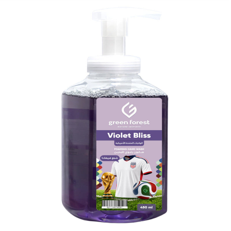 Foaming Hand Wash 450 ml - United States