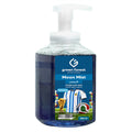 Foaming Hand Wash 450 ml - Argentina