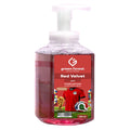 Foaming Hand Wash 450 ml - Egypt