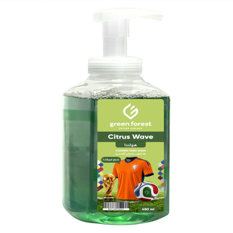 Foaming Hand Wash 450 ml - Netherlands
