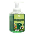 Foaming Hand Wash 450 ml - Algeria