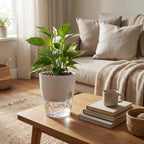 Slef watering plant pot Diameter 15.3cm