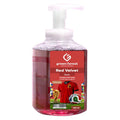 Foaming Hand Wash 450 ml - Belgium