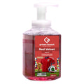 Foaming Hand Wash 450 ml - Norway