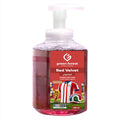 Foaming Hand Wash 450 ml - Paraguay