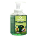 Foaming Hand Wash 450 ml - South Africa