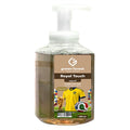 Foaming Hand Wash 450 ml - Sweden