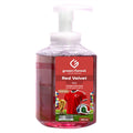 Foaming Hand Wash 450 ml - Türkiye
