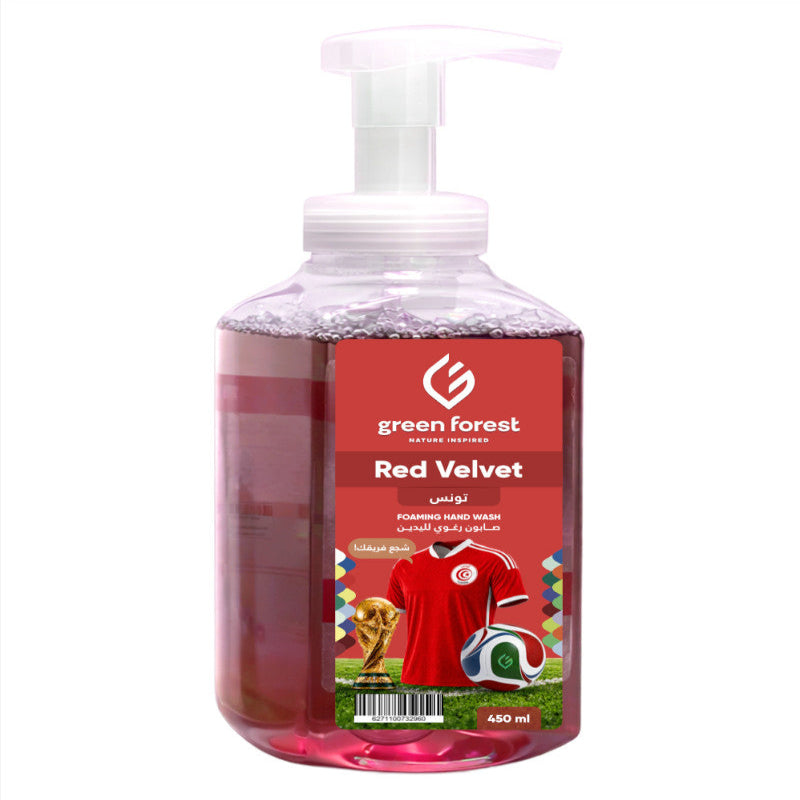 Foaming Hand Wash 450 ml - Tunisia