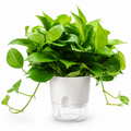 Slef watering plant pot Diameter 15.3cm
